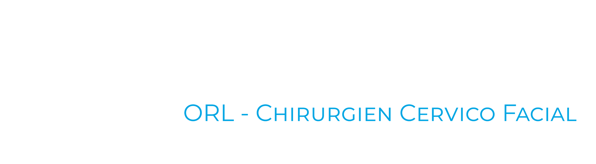Orl Clinique Saint Charles La Roche Sur Yon