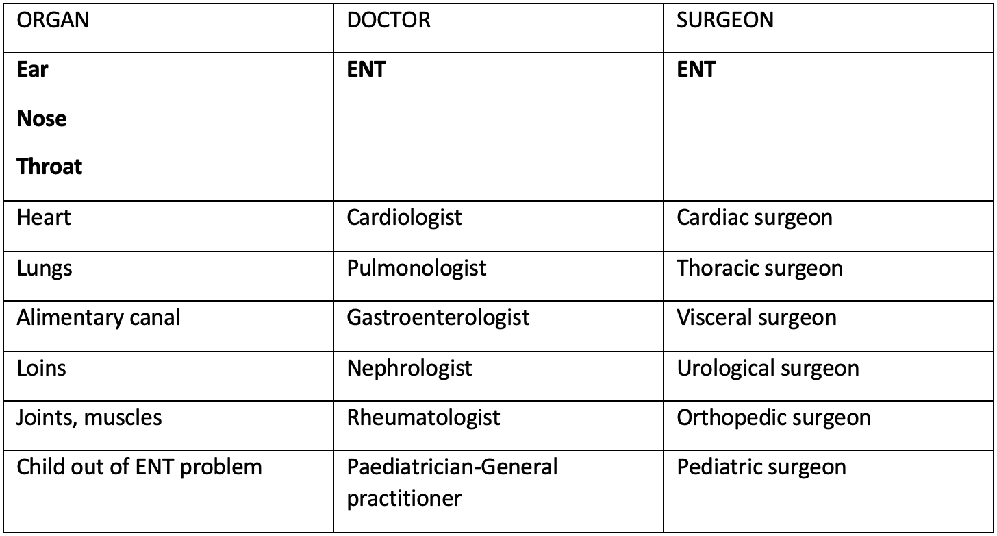 Table illustrating the singularity of the ENT specialty